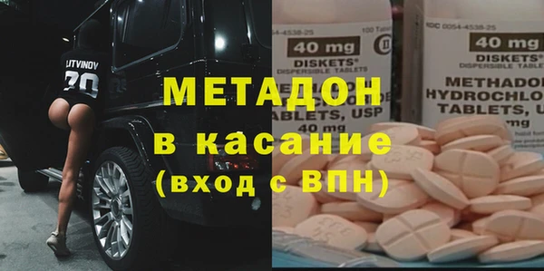 прущие грибы Алзамай